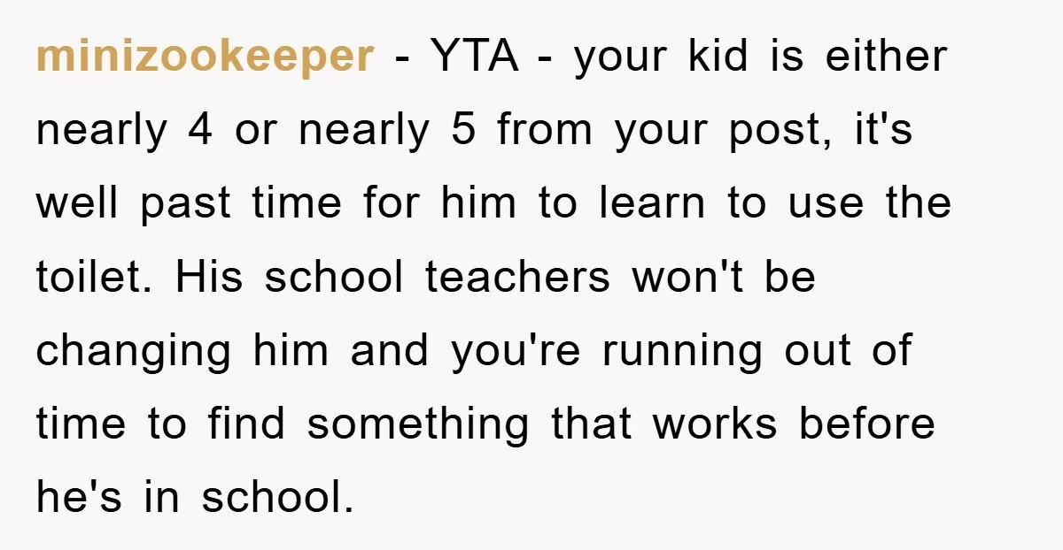 minizookeeper − YTA - your kid is either nearly 4 or nearly 5 from your post, it's well past time for him to learn to use the toilet. His school...