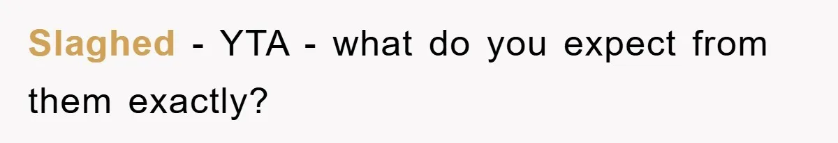Slaghed − YTA - what do you expect from them exactly?