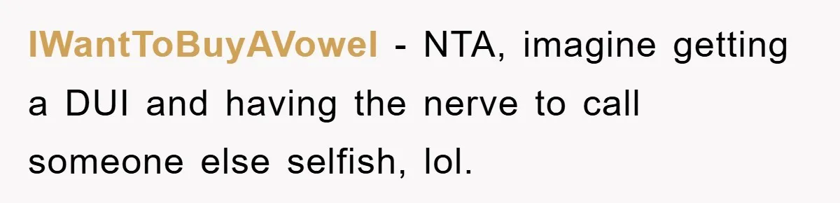 IWantToBuyAVowel − NTA, imagine getting a DUI and having the nerve to call someone else selfish, lol.