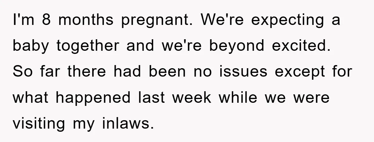 I'm 8 months pregnant. We're expecting a baby together and we're beyond excited. So far there had been no issues except for what happened last week while we were visiting...