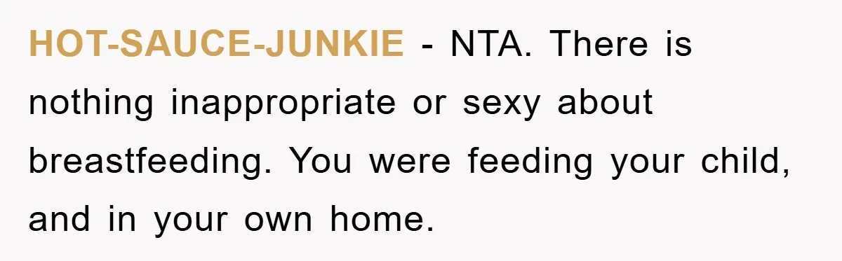 HOT-SAUCE-JUNKIE − NTA. There is nothing inappropriate or sexy about breastfeeding. You were feeding your child, and in your own home.