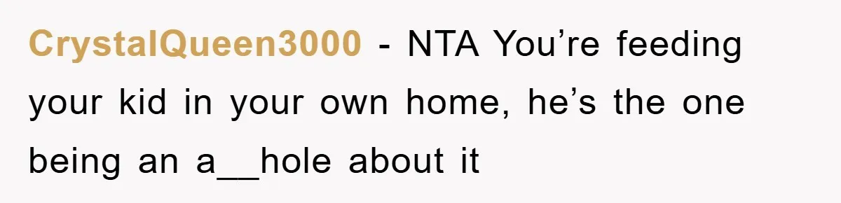 CrystalQueen3000 − NTA You’re feeding your kid in your own home, he’s the one being an a__hole about it