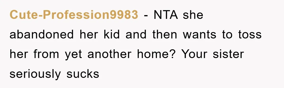 Cute-Profession9983 - NTA she abandoned her kid and then wants to toss her from yet another home? Your sister seriously sucks