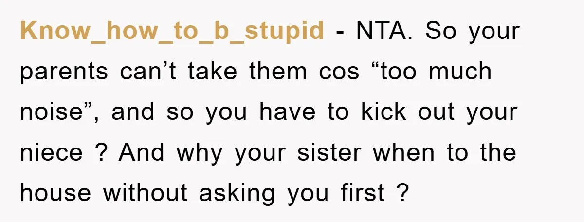 Know_how_to_b_stupid - NTA. So your parents can’t take them cos “too much noise”, and so you have to kick out your niece ? And why your sister when to the...