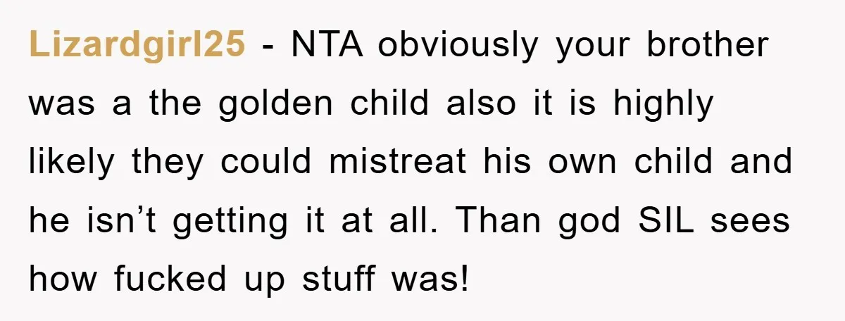 Lizardgirl25 − NTA obviously your brother was a the golden child also it is highly likely they could mistreat his own child and he isn’t getting it at all. Than...