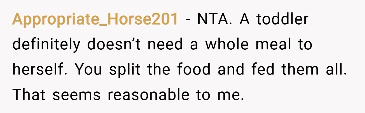 Appropriate_Horse201 − NTA. A toddler definitely doesn’t need a whole meal to herself. You split the food and fed them all. That seems reasonable to me.