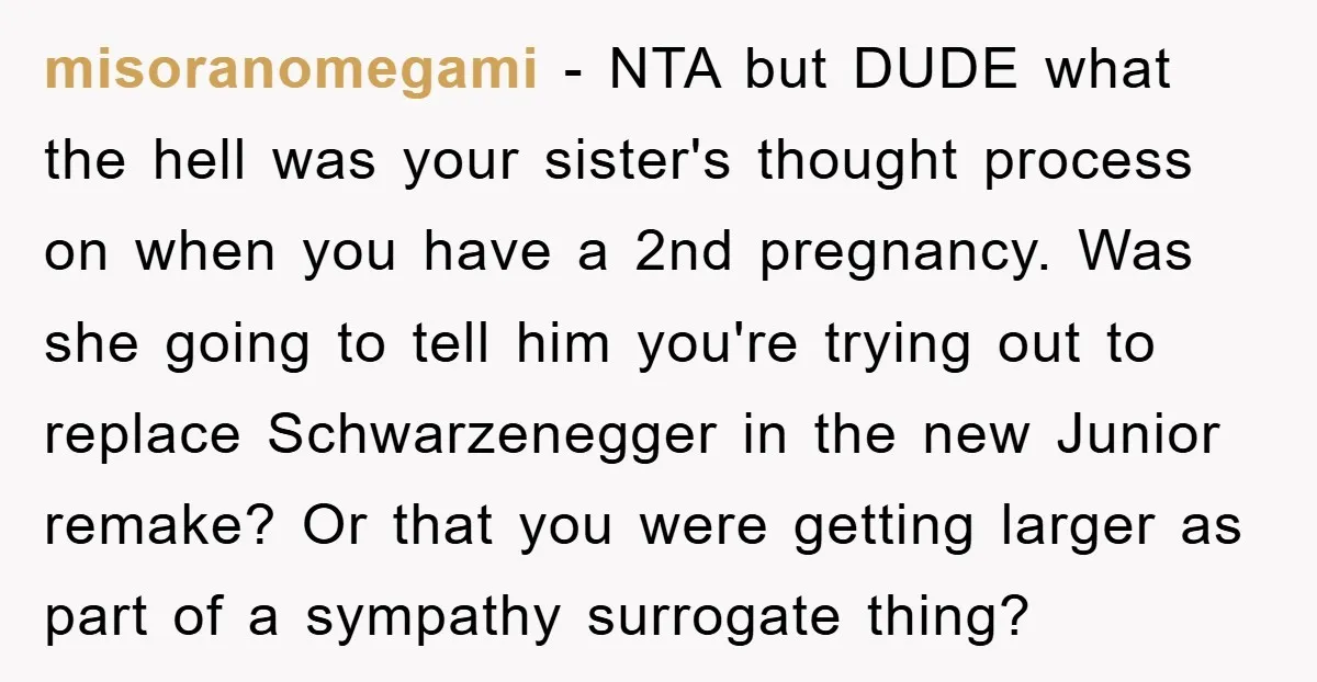 misoranomegami - NTA but DUDE what the hell was your sister's thought process on when you have a 2nd pregnancy. Was she going to tell him you're trying out to...