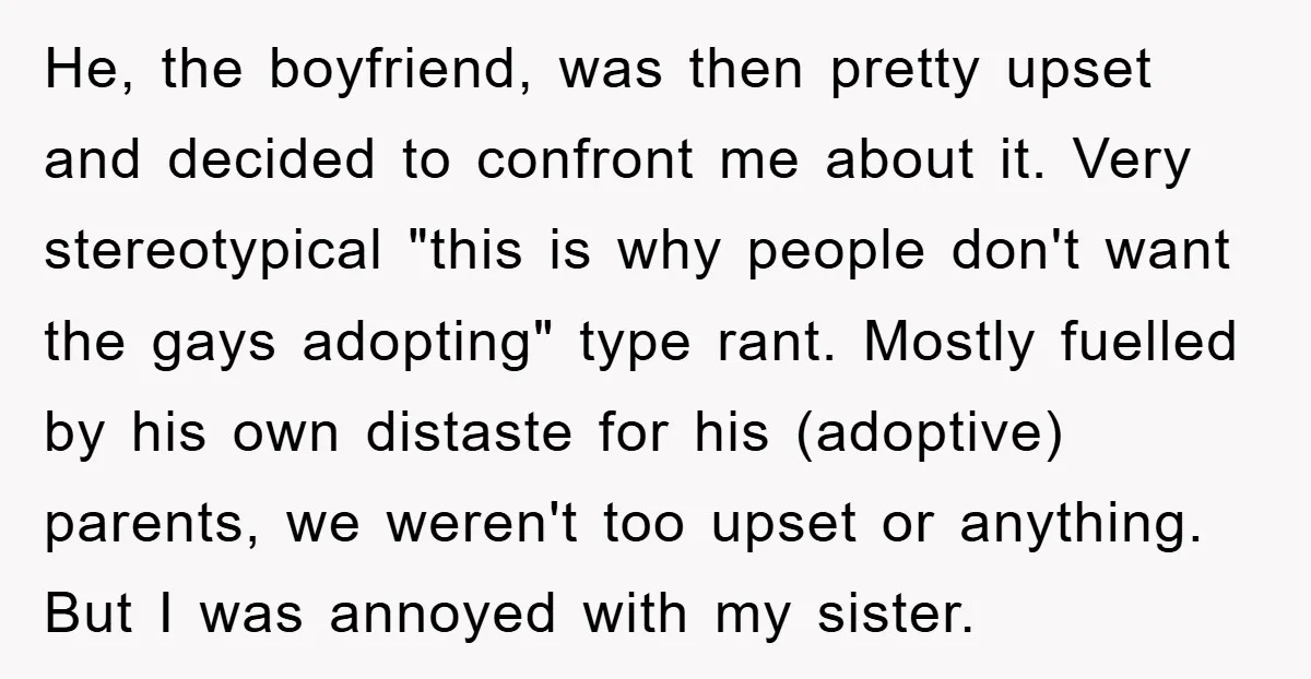 He, the boyfriend, was then pretty upset and decided to confront me about it. Very stereotypical "this is why people don't want the gays adopting" type rant. Mostly fuelled by...