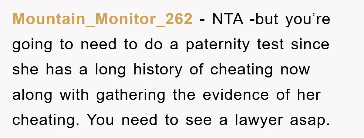 Mountain_Monitor_262 − NTA -but you’re going to need to do a paternity test since she has a long history of cheating now along with gathering the evidence of her cheating....