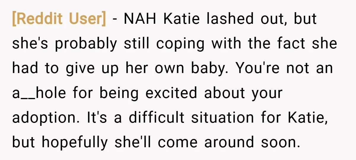 [Reddit User] − NAH Katie lashed out, but she's probably still coping with the fact she had to give up her own baby. You're not an a__hole for being excited...