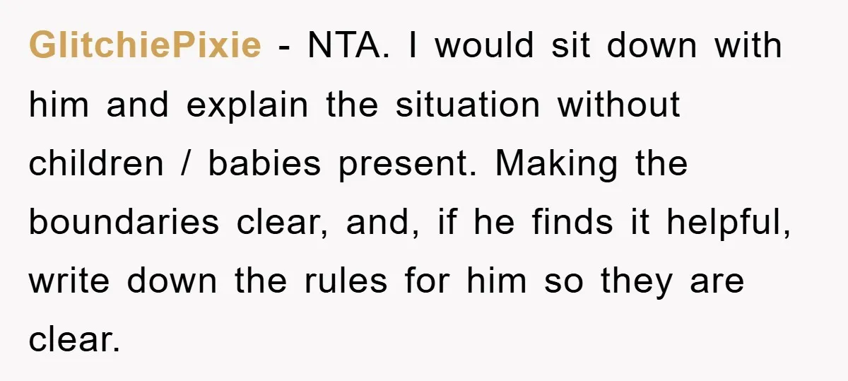 GlitchiePixie − NTA. I would sit down with him and explain the situation without children / babies present. Making the boundaries clear, and, if he finds it helpful, write down...