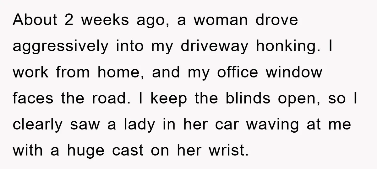 About 2 weeks ago, a woman drove aggressively into my driveway honking. I work from home, and my office window faces the road. I keep the blinds open, so I...