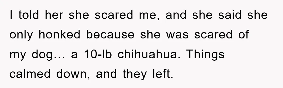 I told her she scared me, and she said she only honked because she was scared of my dog… a 10-lb chihuahua. Things calmed down, and they left.