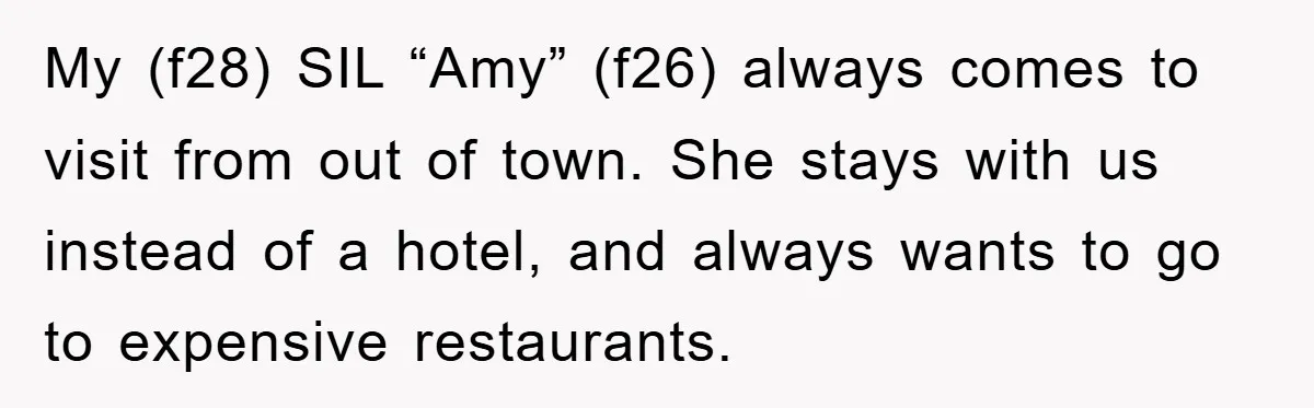 My (f28) SIL “Amy” (f26) always comes to visit from out of town. She stays with us instead of a hotel, and always wants to go to expensive restaurants.