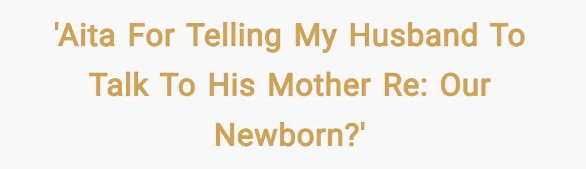 'AITA for telling my husband to talk to his mother re: our newborn?'