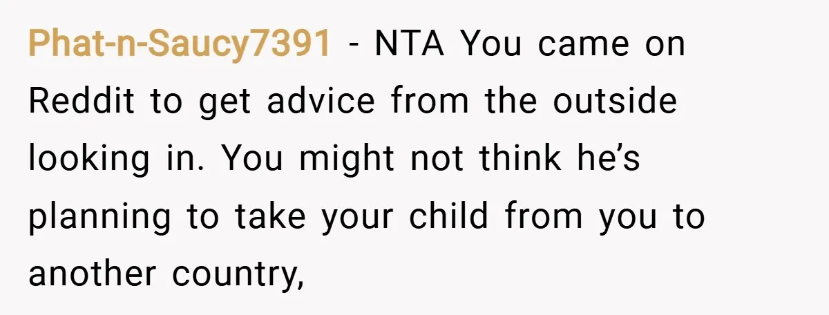 Phat-n-Saucy7391 − NTA You came on Reddit to get advice from the outside looking in. You might not think he’s planning to take your child from you to another country,