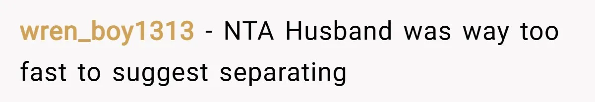 wren_boy1313 − NTA Husband was way too fast to suggest separating