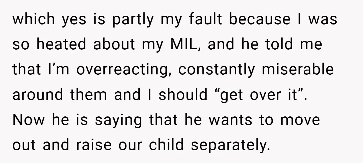 which yes is partly my fault because I was so heated about my MIL, and he told me that I’m overreacting, constantly miserable around them and I should “get over...