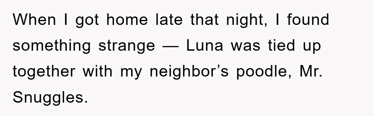 When I got home late that night, I found something strange — Luna was tied up together with my neighbor’s poodle, Mr. Snuggles.