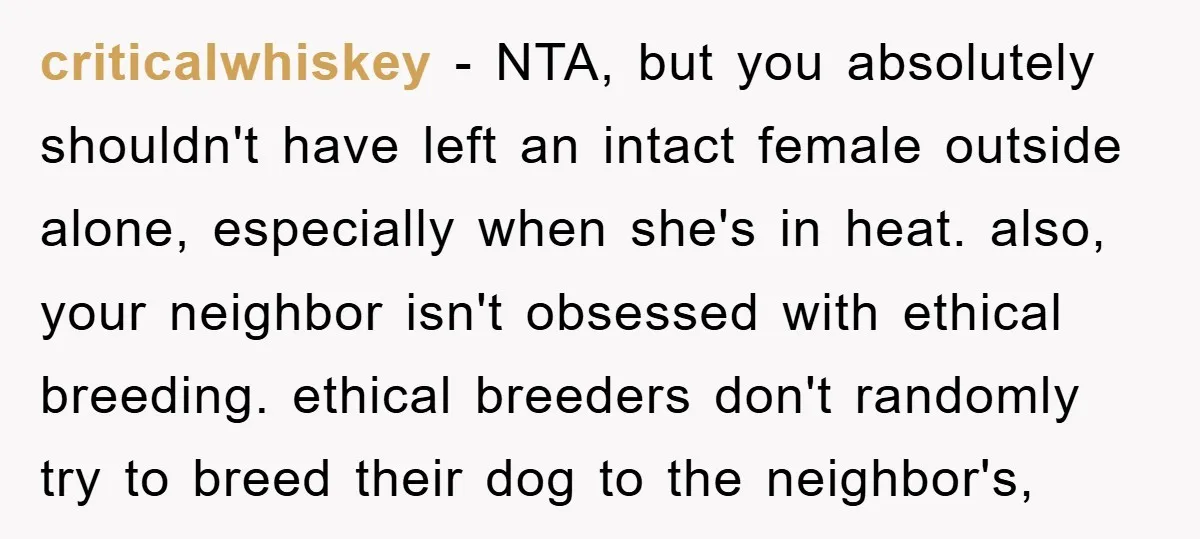 criticalwhiskey − NTA, but you absolutely shouldn't have left an intact female outside alone, especially when she's in heat. also, your neighbor isn't obsessed with ethical breeding. ethical breeders don't...