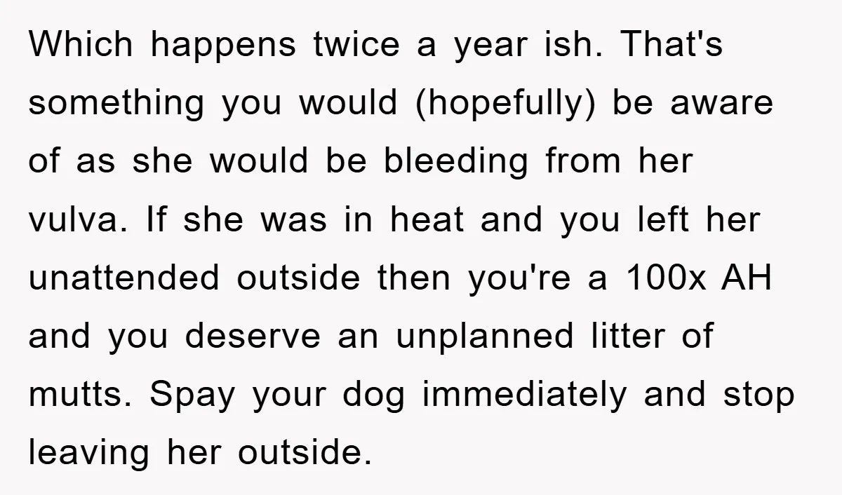 Which happens twice a year ish. That's something you would (hopefully) be aware of as she would be bleeding from her vulva. If she was in heat and you left...