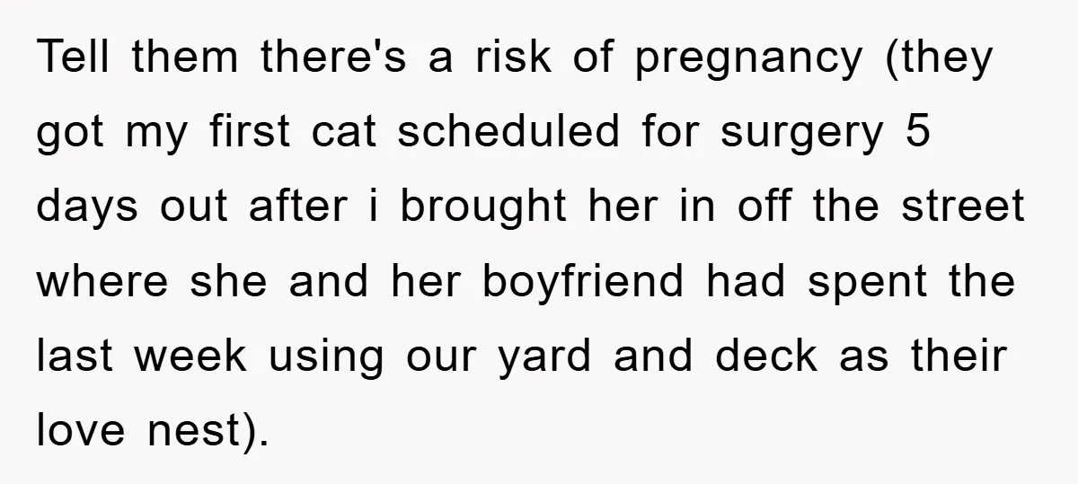 Tell them there's a risk of pregnancy (they got my first cat scheduled for surgery 5 days out after i brought her in off the street where she and her...