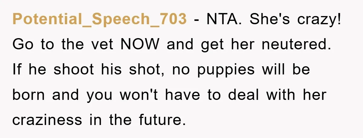 Potential_Speech_703 − NTA. She's crazy! Go to the vet NOW and get her neutered. If he shoot his shot, no puppies will be born and you won't have to deal...