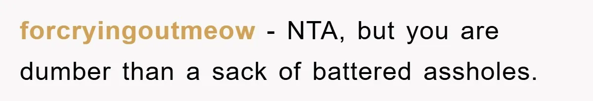 forcryingoutmeow − NTA, but you are dumber than a sack of battered assholes.