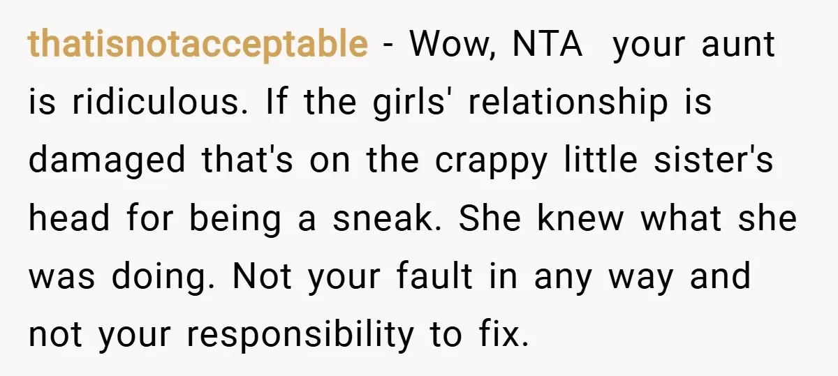 thatisnotacceptable − Wow, NTA your aunt is ridiculous. If the girls' relationship is damaged that's on the crappy little sister's head for being a sneak. She knew what she was...