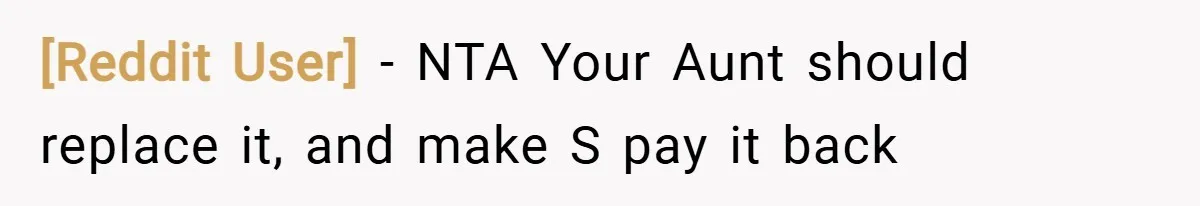 [Reddit User] − NTA Your Aunt should replace it, and make S pay it back