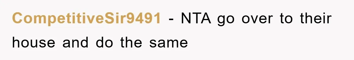 CompetitiveSir9491 - NTA go over to their house and do the same
