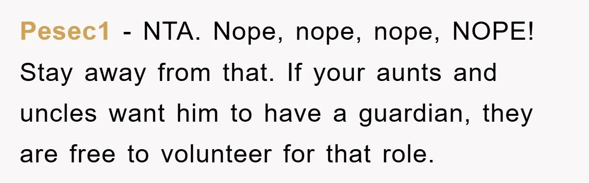 Pesec1 − NTA. Nope, nope, nope, NOPE! Stay away from that. If your aunts and uncles want him to have a guardian, they are free to volunteer for that role.