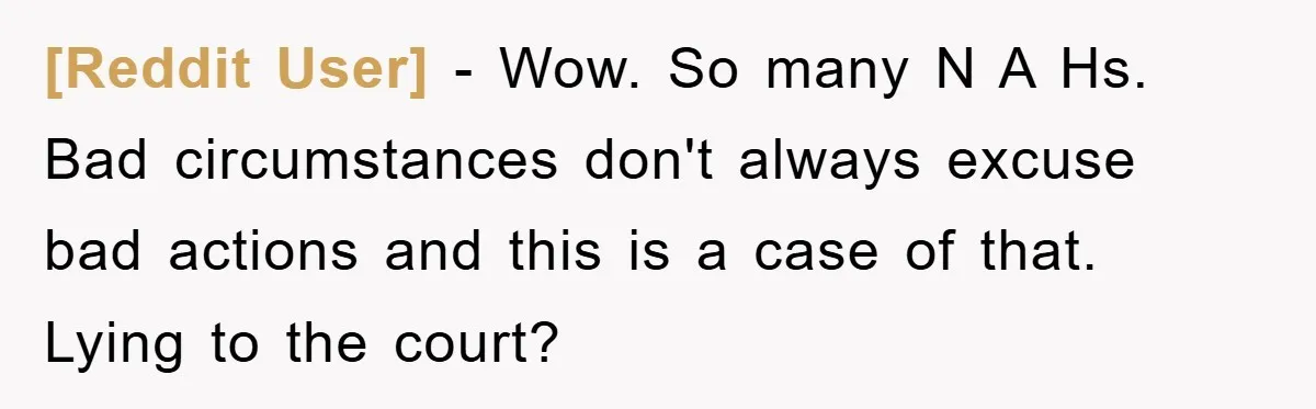 [Reddit User] - Wow. So many N A Hs. Bad circumstances don't always excuse bad actions and this is a case of that. Lying to the court?