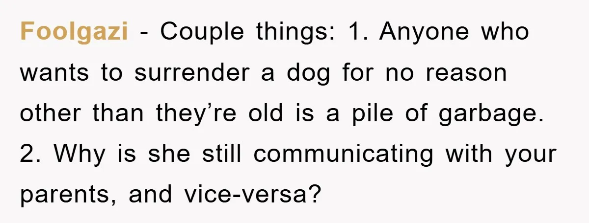 Foolgazi − Couple things: 1. Anyone who wants to surrender a dog for no reason other than they’re old is a pile of garbage. 2. Why is she still communicating...