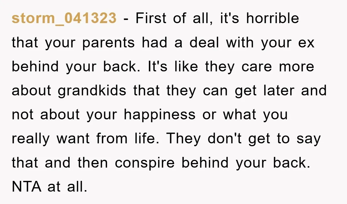 storm_041323 − First of all, it's horrible that your parents had a deal with your ex behind your back. It's like they care more about grandkids that they can get...