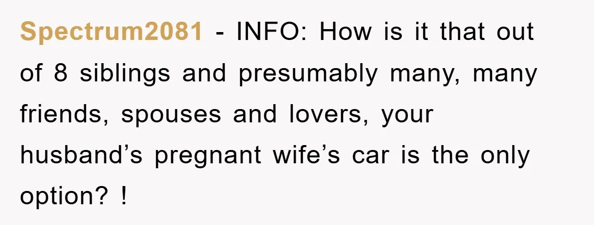 Spectrum2081 − INFO: How is it that out of 8 siblings and presumably many, many friends, spouses and lovers, your husband’s pregnant wife’s car is the only option? !