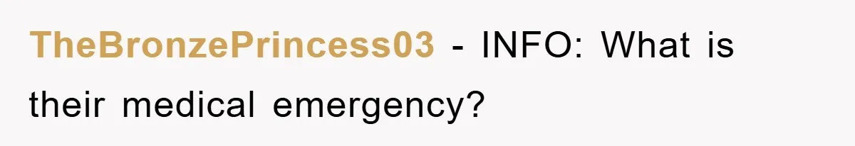 TheBronzePrincess03 − INFO: What is their medical emergency?