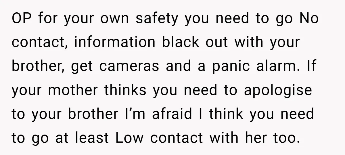 OP for your own safety you need to go No contact, information black out with your brother, get cameras and a panic alarm. If your mother thinks you need to...