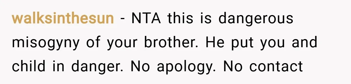 walksinthesun − NTA this is dangerous misogyny of your brother. He put you and child in danger. No apology. No contact