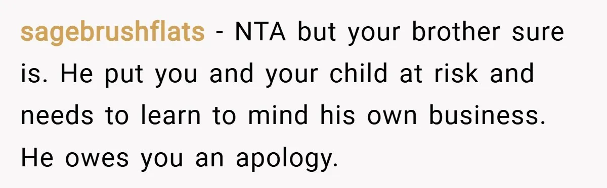 sagebrushflats − NTA but your brother sure is. He put you and your child at risk and needs to learn to mind his own business. He owes you an apology.
