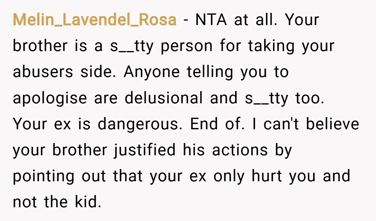 Melin_Lavendel_Rosa − NTA at all. Your brother is a s__tty person for taking your abusers side. Anyone telling you to apologise are delusional and s__tty too. Your ex is dangerous....