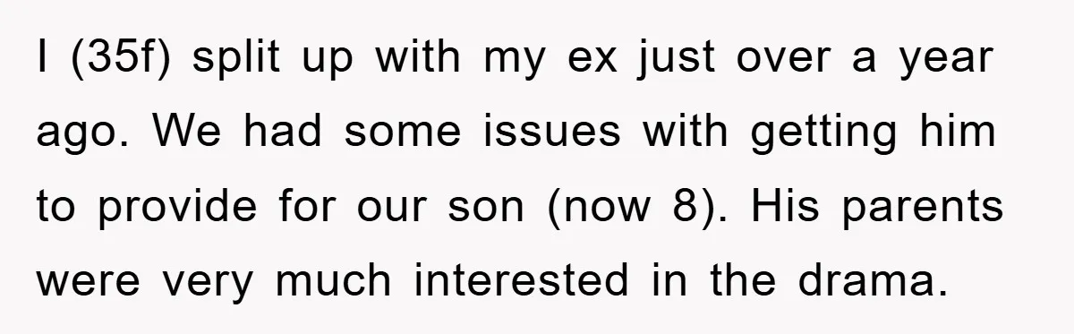 I (35f) split up with my ex just over a year ago. We had some issues with getting him to provide for our son (now 8). His parents were very...