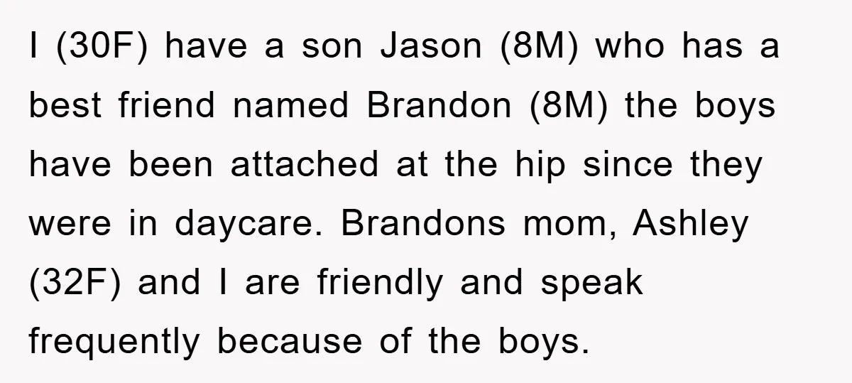 I (30F) have a son Jason (8M) who has a best friend named Brandon (8M) the boys have been attached at the hip since they were in daycare. Brandons mom,...