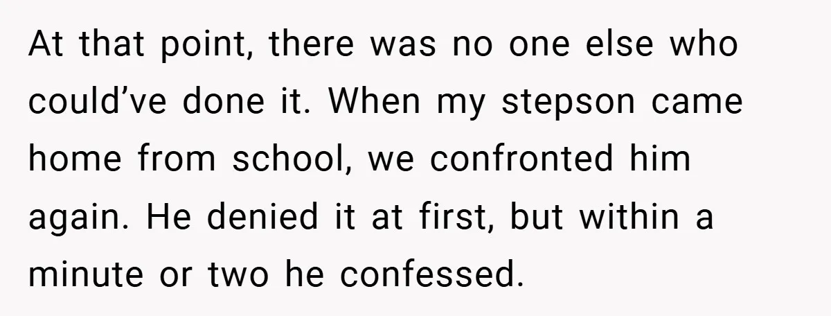 At that point, there was no one else who could’ve done it. When my stepson came home from school, we confronted him again. He denied it at first, but within...