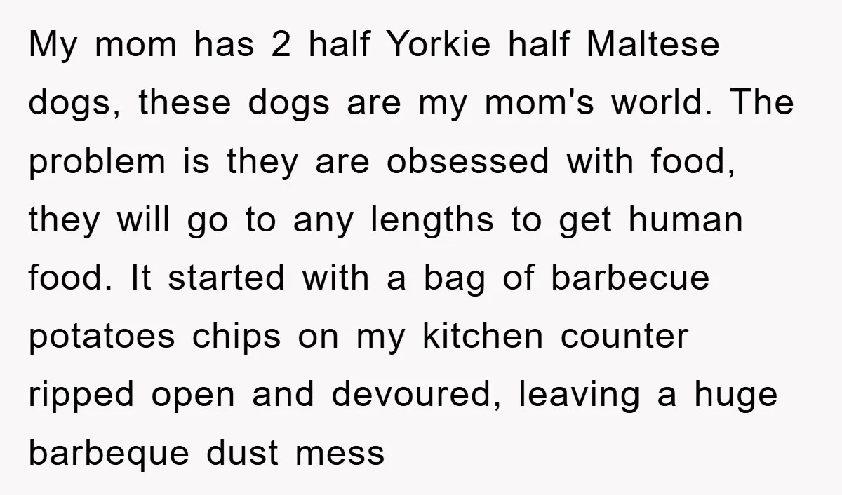 My mom has 2 half Yorkie half Maltese dogs, these dogs are my mom's world. The problem is they are obsessed with food, they will go to any lengths to...