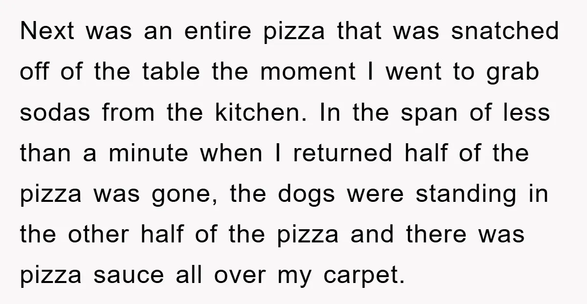 Next was an entire pizza that was snatched off of the table the moment I went to grab sodas from the kitchen. In the span of less than a minute...