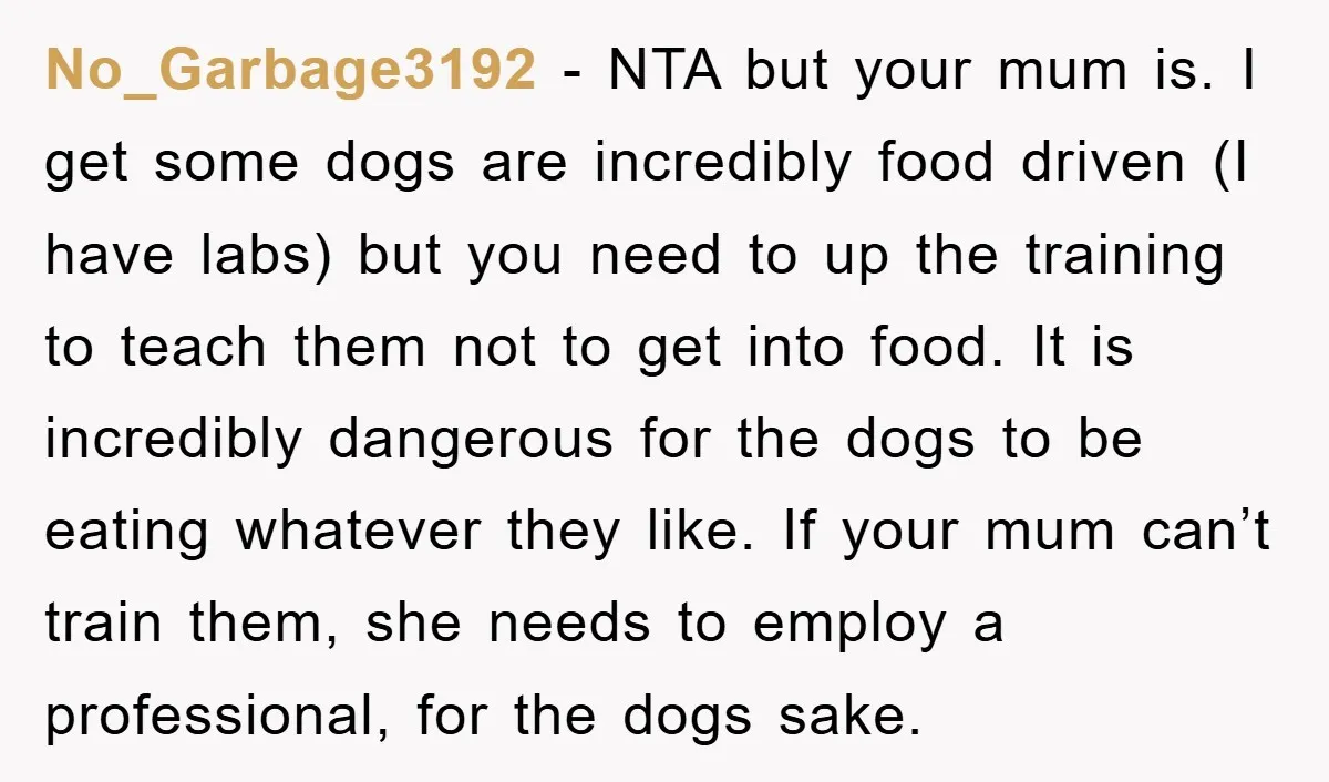 No_Garbage3192 − NTA but your mum is. I get some dogs are incredibly food driven (I have labs) but you need to up the training to teach them not to...