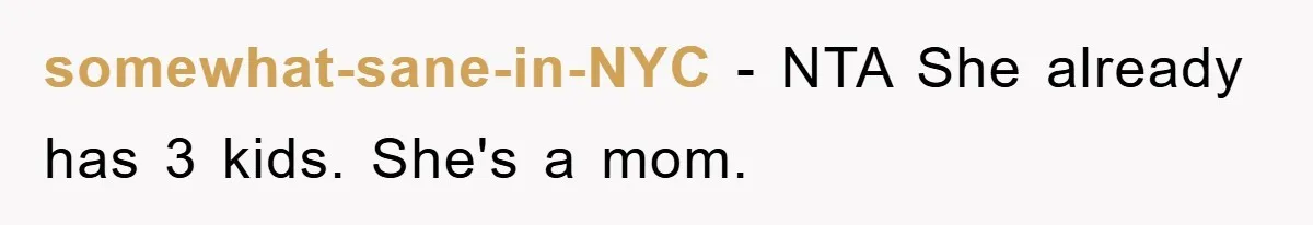 somewhat-sane-in-NYC − NTA She already has 3 kids. She's a mom.