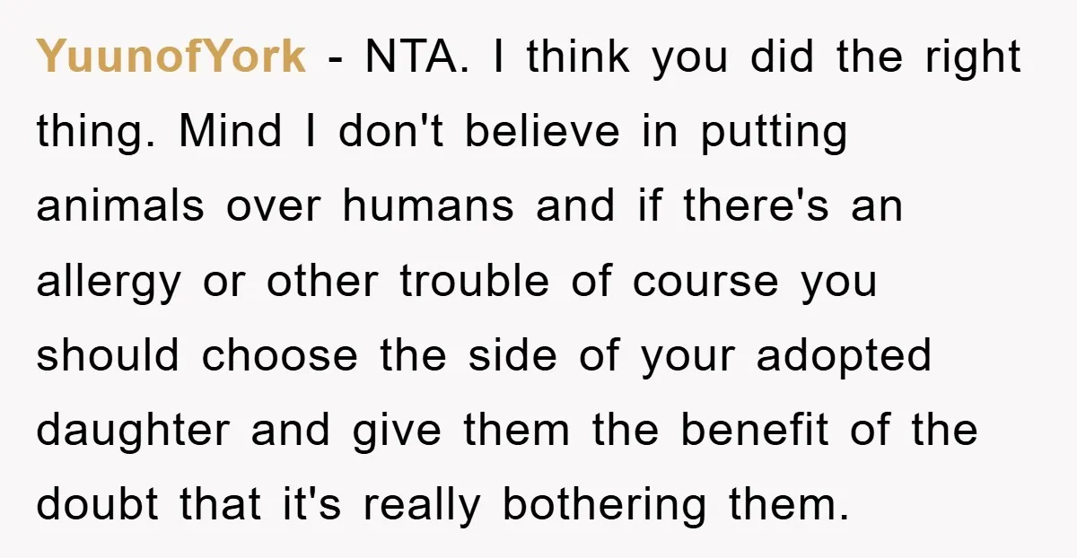 YuunofYork - NTA. I think you did the right thing. Mind I don't believe in putting animals over humans and if there's an allergy or other trouble of course you...