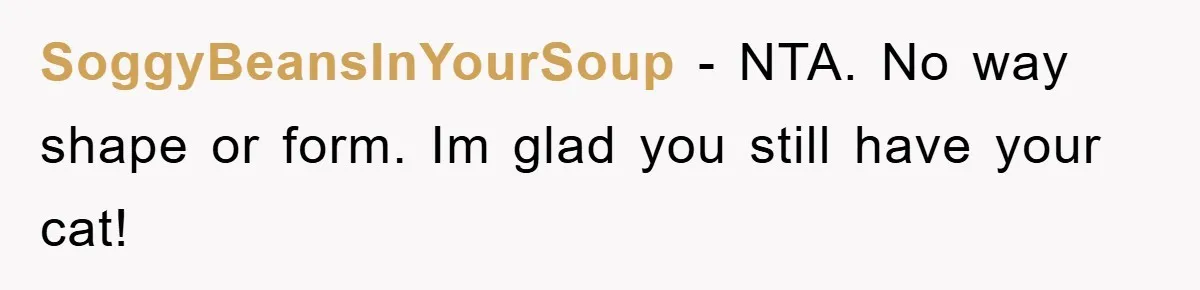 SoggyBeansInYourSoup - NTA. No way shape or form. Im glad you still have your cat!